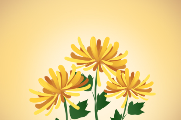 ��������ʲô�����ٶ� �������ͻ���ʲô����